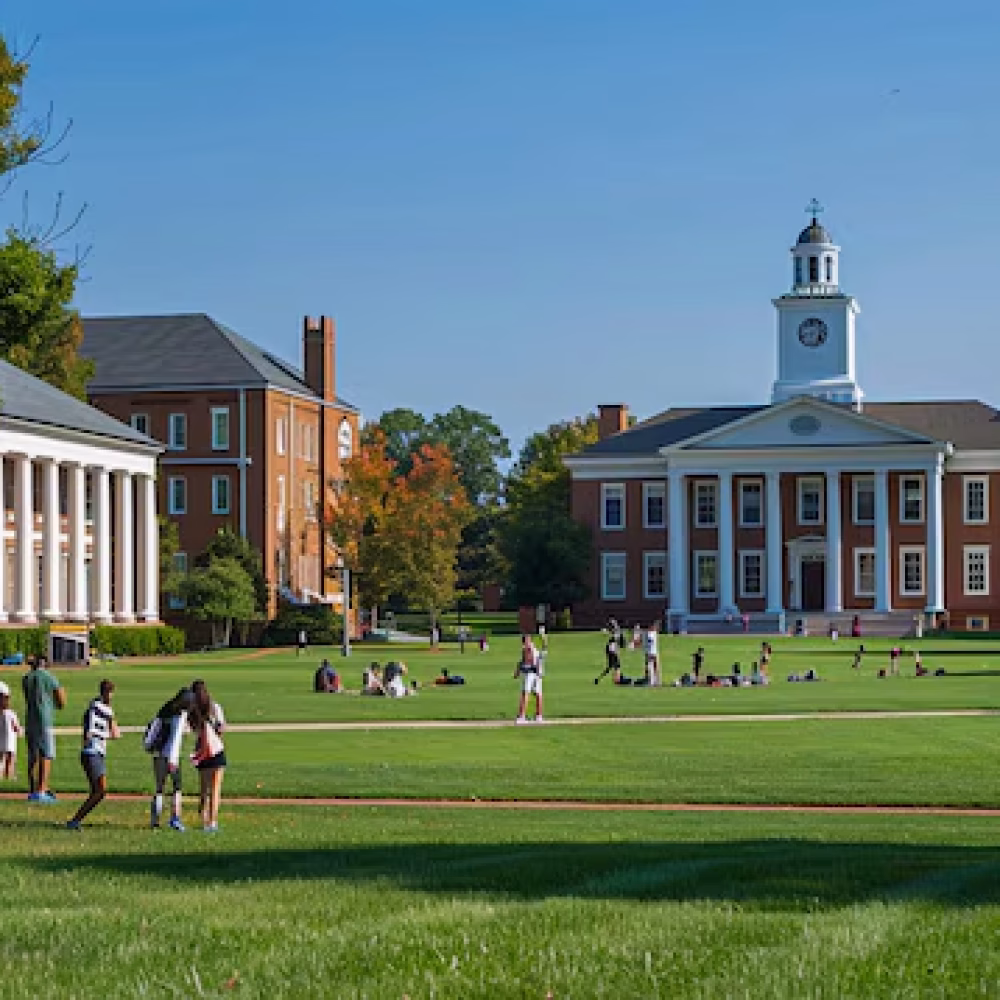 university-campus-with-big-field-photography-students-are-walking-gossiping-their-campus_551880-7917 university-campus-with-big-field-photography-students-are-walking-gossiping-their-campus_551880-7917